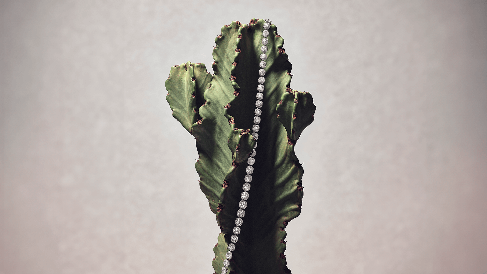 Inspired by nature at its source